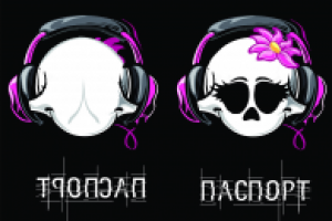 Обложка на паспорт. череп