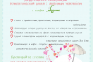 Разработка романтического меню в кафе "Базилик"