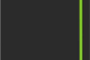 Папка CHOK 2 (лицо)