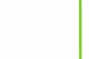 Папка CHOK 1 (лицо)