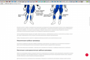 Гребные тренажеры для дома