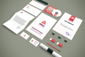 Разработка логотипа и фирменного стиля для школы красоты НИКА