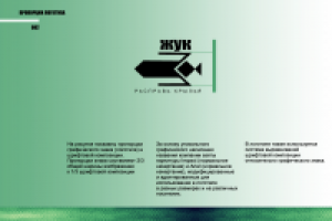 Учебная работа (жуки) брендбук