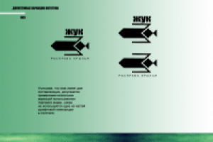 Учебная работа (жуки) брендбук