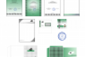 Учебная работа (жуки)