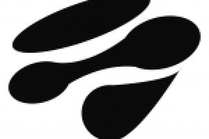 Работа 3085274