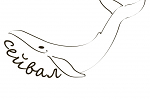 Работа 3085271