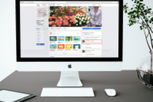 Настройка таргетинговой рекламы для цветочного магазина Лаванда