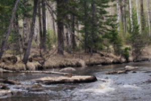 Природа, корректировка