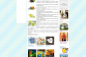 Международный день чая – 15 декабря