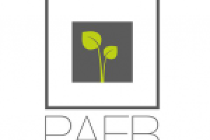 Логотип ООО "РАЕВ"