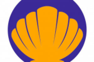 Работа 3052822