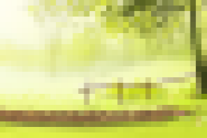 Игровой фон