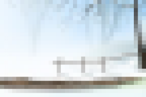 Игровой фон