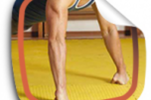 «Стойка на кулаках – закалка тела и духа»