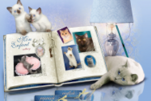 Дизайн сайта  "Мон Инфант"