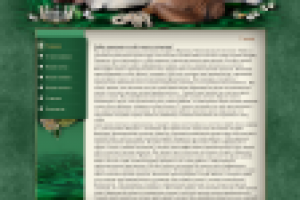 Сайт "Натали ленд"