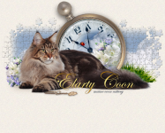 Сайт "Elarty Coon"