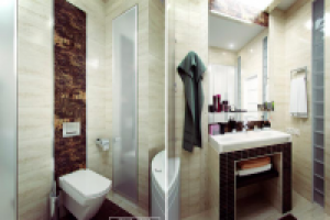 small apartment bathroom Donetsk 3