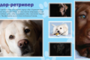 Фотоальбом