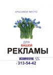 img143974.png