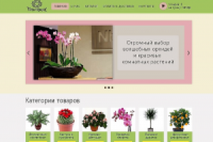 интеренет магазин комнатных растений