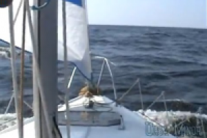 Один день - один шаг