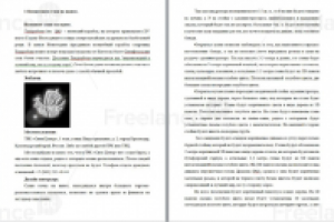 Проект: суши на вынос.