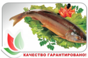 баннер на сайт