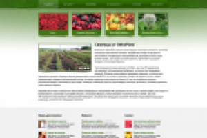 Сайт украинского производителя высококачественных саженцев «Deko