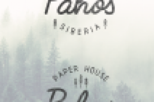 Логотип для бумажной компании