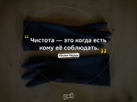 img3069792.png