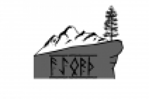 Для компании Fjord