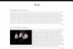установка вёрстки и полностью делал функции по сайту