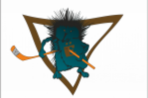 эмблема хоккейной команды