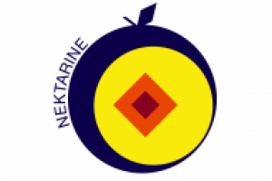 Дизайн логотипа Нектарин Дизайн