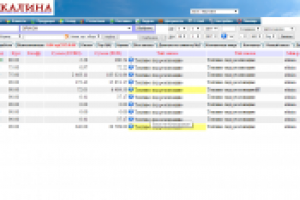 Облачная персональная учетная платформа КАЛИНА