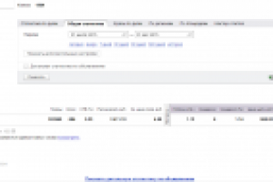Яндекс Директ по теме: Татуаж бровей