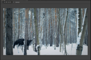 Вставка в видео страуса. Компоузинг.