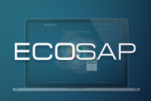Ecosap: Международная бизнес аналитика