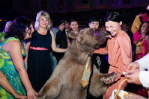 Корпоративная вечеринка