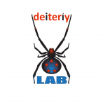 Deiteriy lab