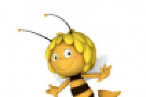 Студенческая работа