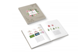 Брендбук для цветочной мастерской "Маленький Лес"