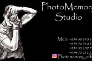 Работа 3069819