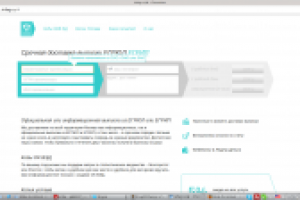 Официальная или информационная выписка