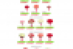 Вёрстка для салона цветов