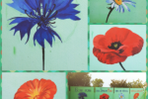 Роспись забора в частном секторе. Дизайн заказчика