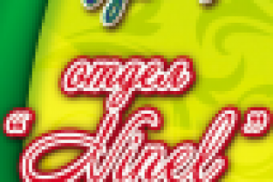 РЕЖИМ РАБОТЫ