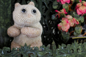 Жемчужное чудо